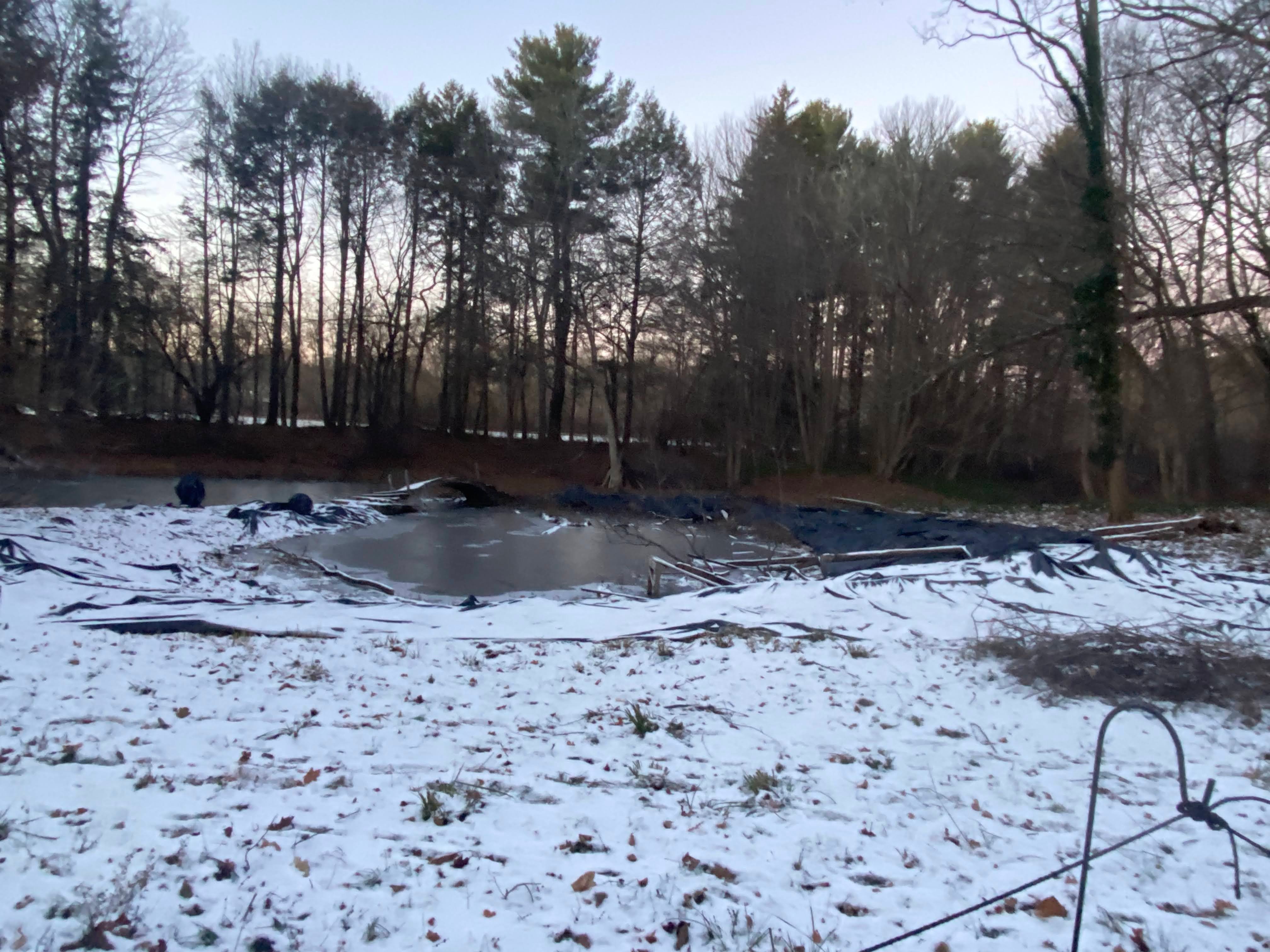 13Dec22_Pond View
