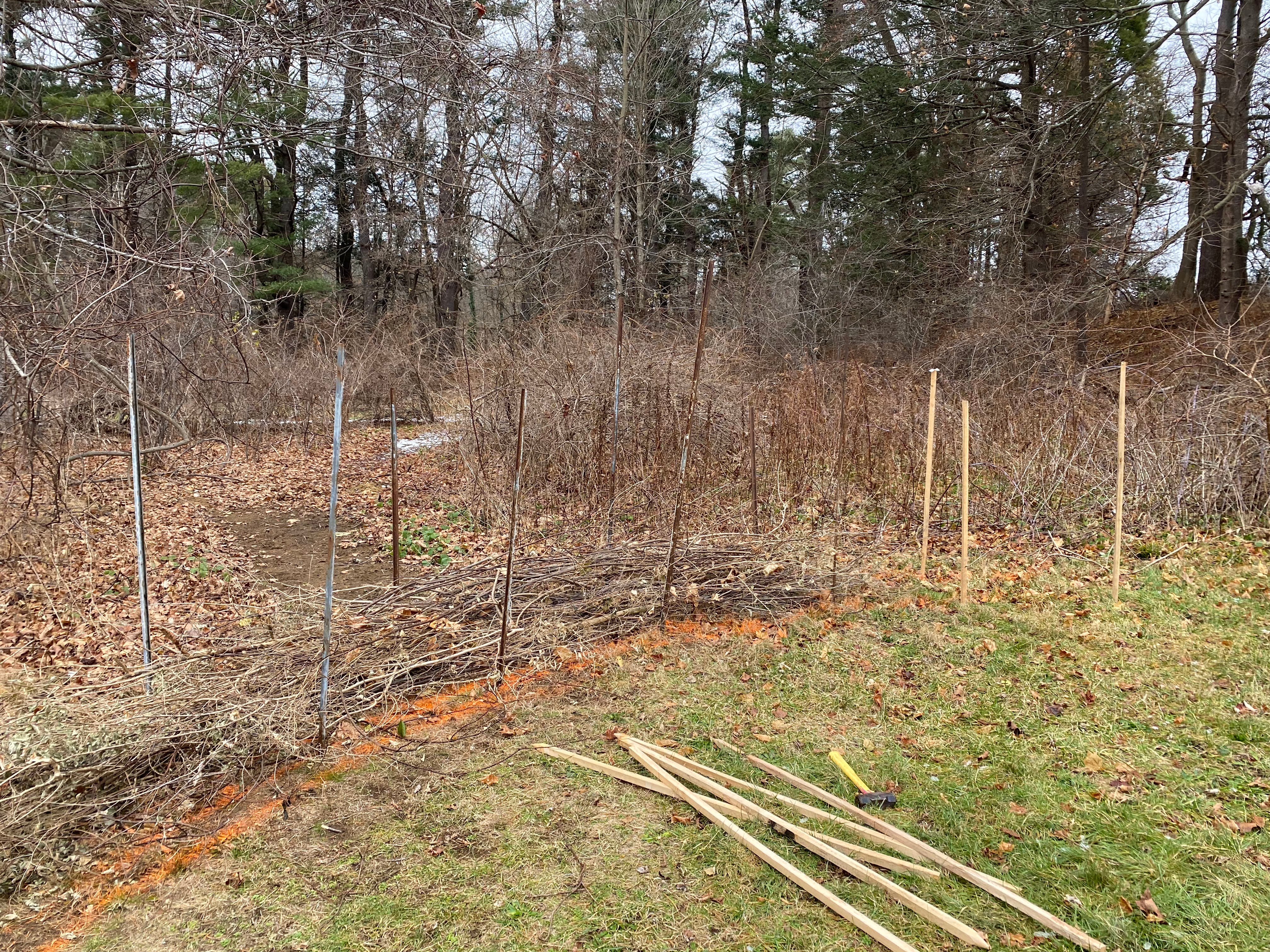 15Dec22_Dead Hedge