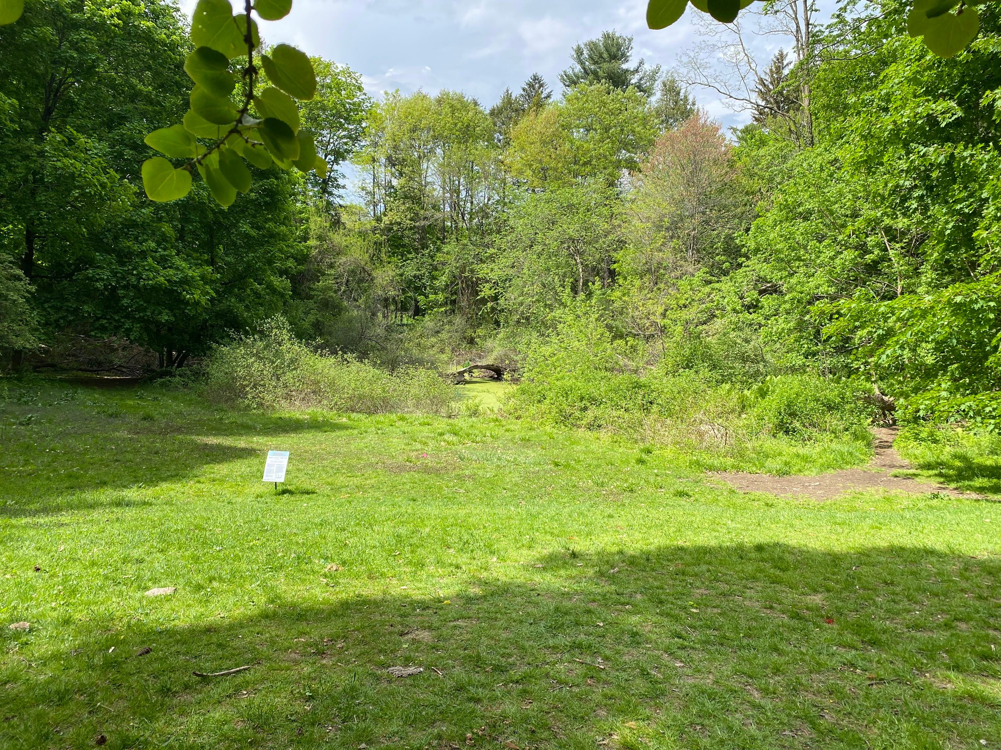 16May22_Pond View