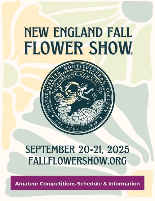 2025 NEFFS Amateur Competitions Schedule Cover