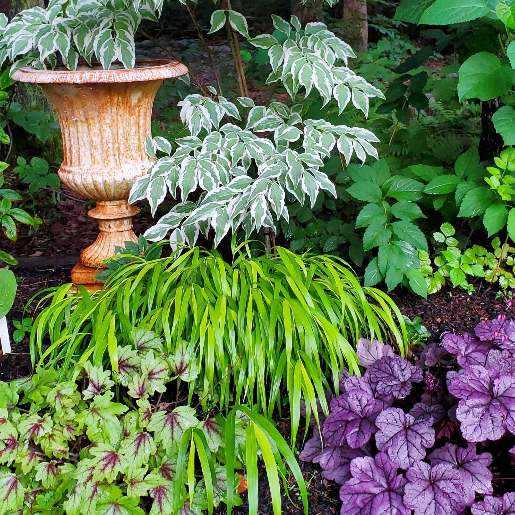 260207 Foliage-Driven Garden Design-2026-webinar_MENDEZ_SQUARE