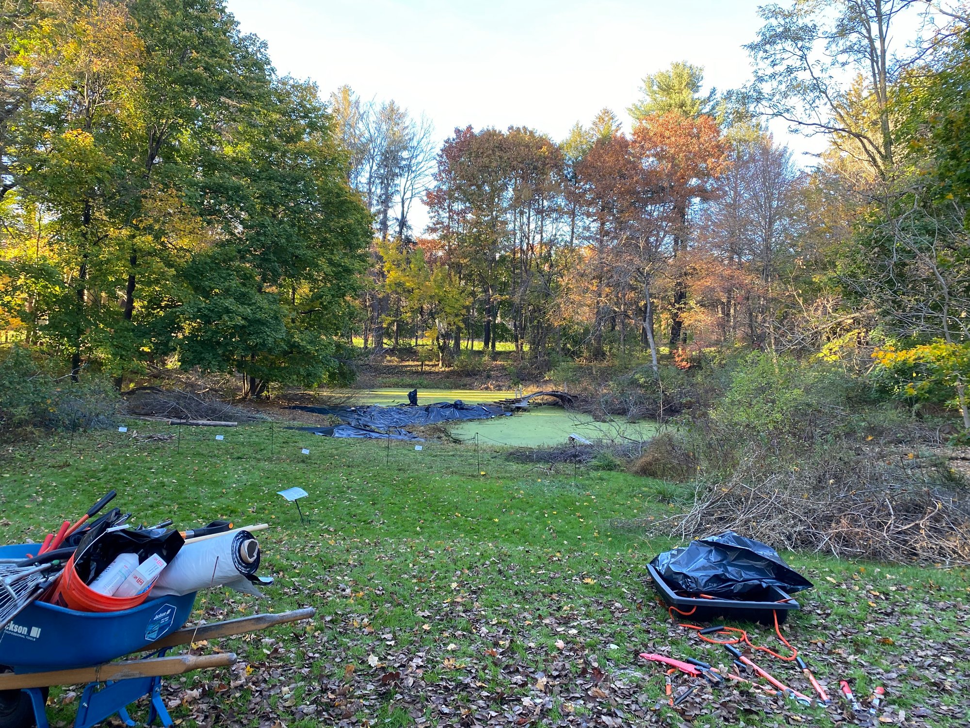 30Oct22_Pond View