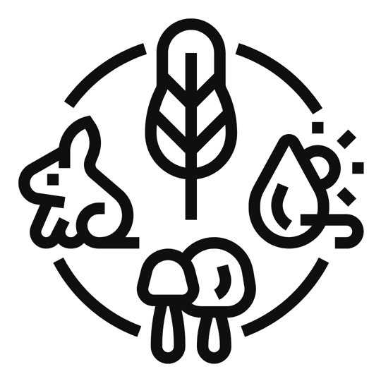 Youth Education Massachusetts Horticultural Society