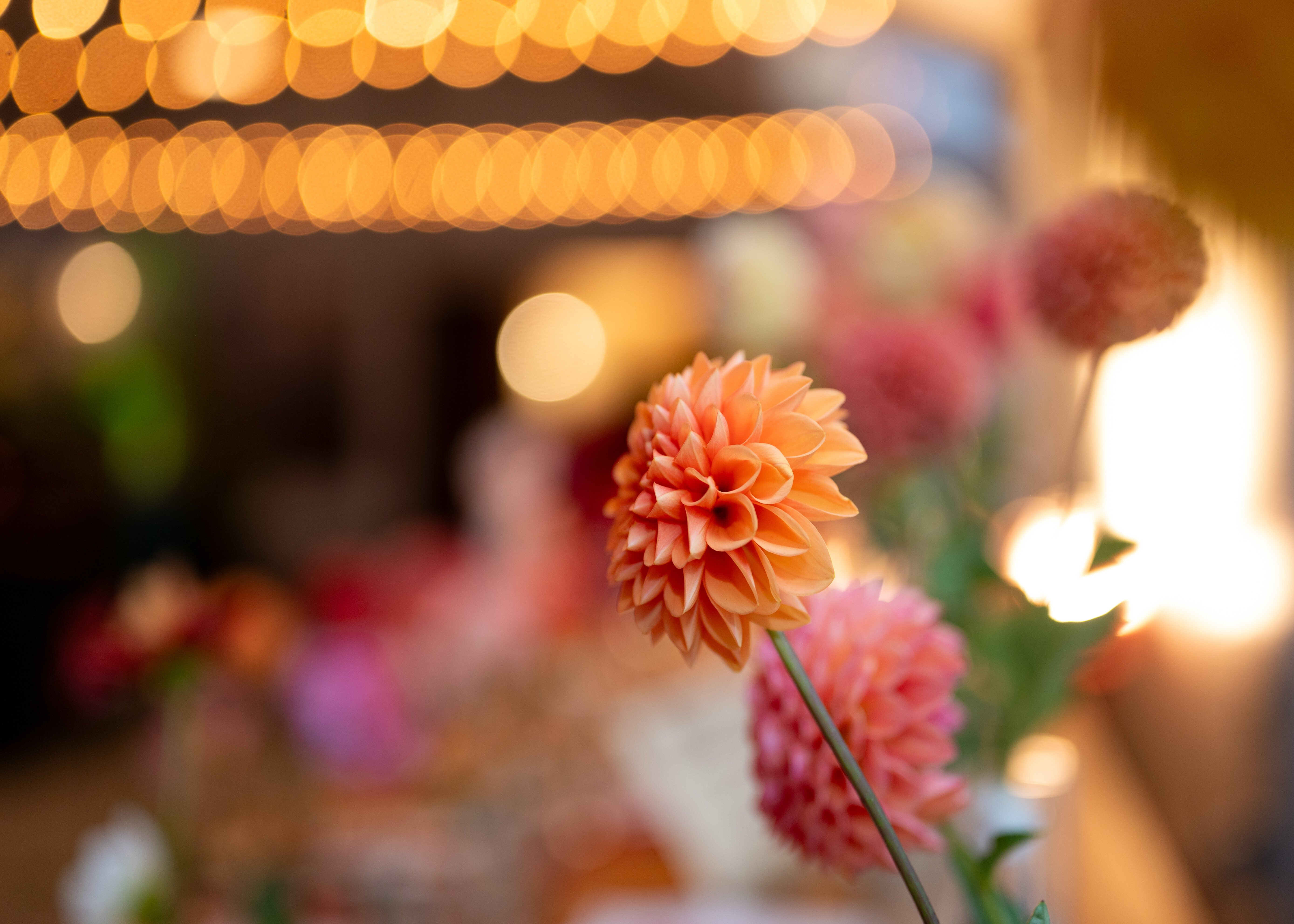 9_20_24_Edited-334