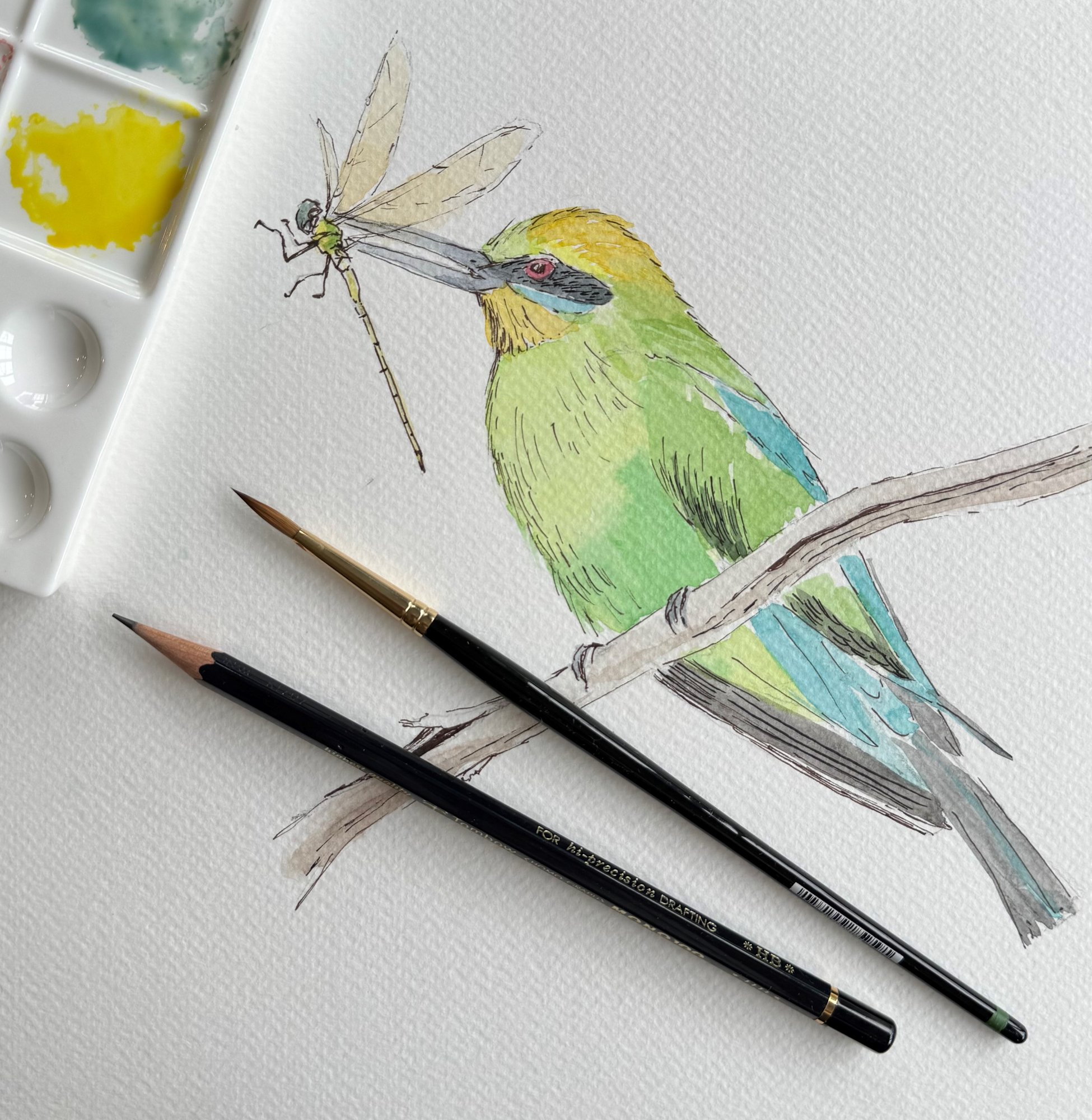CONNAUGHTON - Birds image