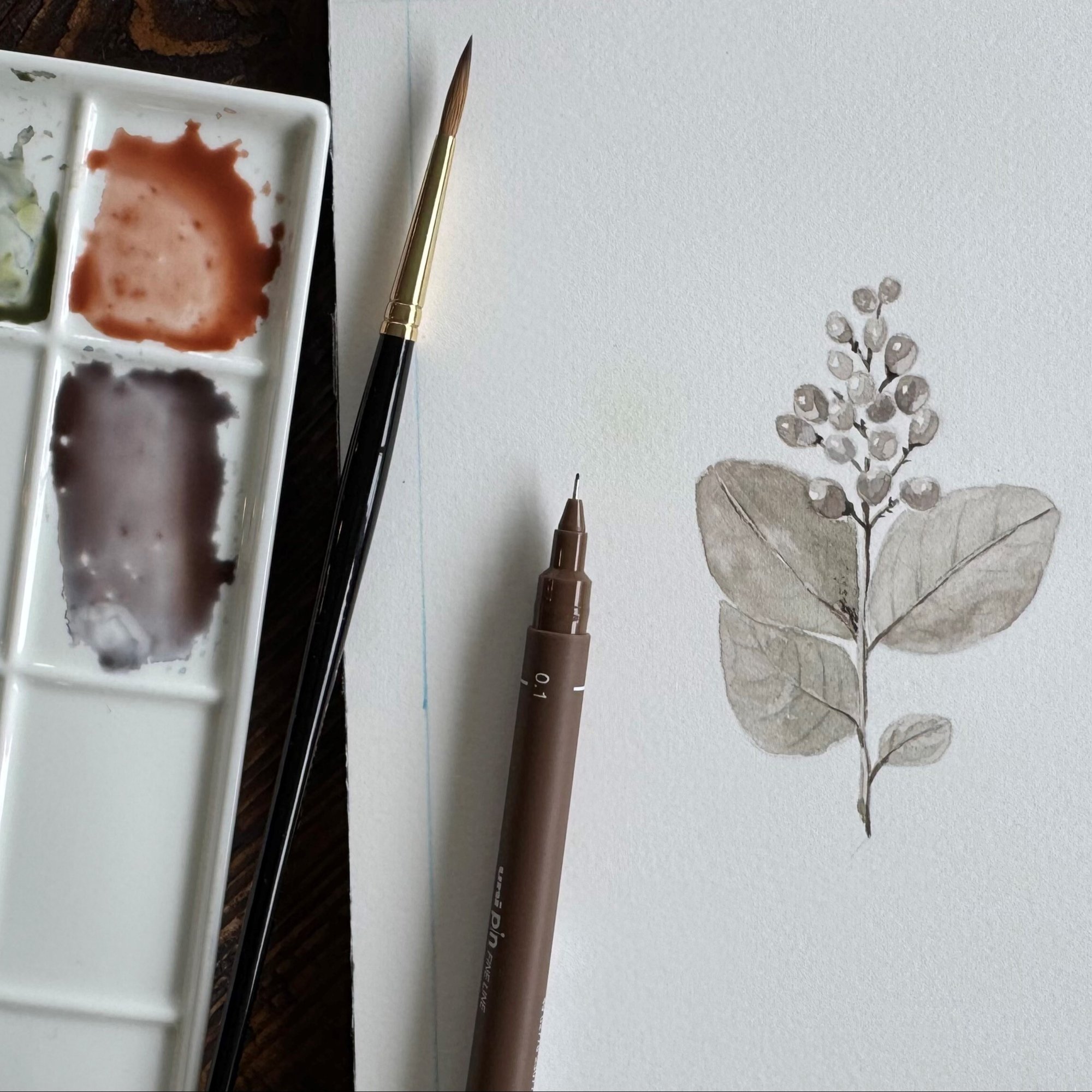 CONNAUGHTON - Bot Sketch Limited Fall Palette image_SQUARE