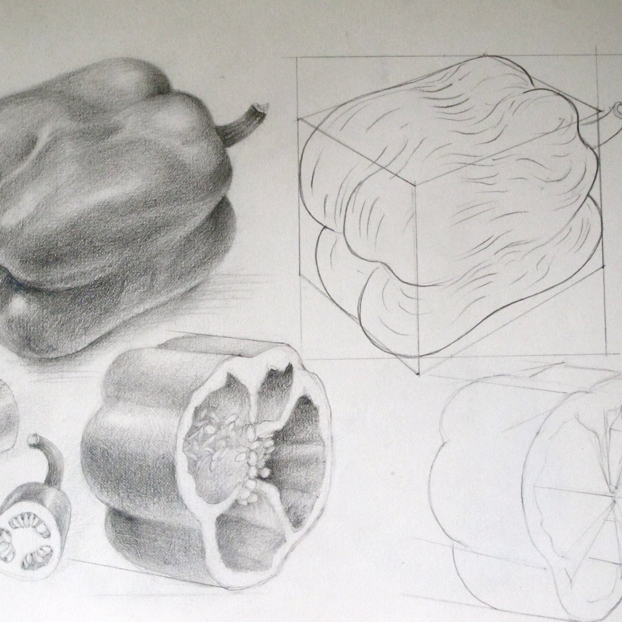 MORLEY Graphite image 3 peppers with diagram showing underlying form