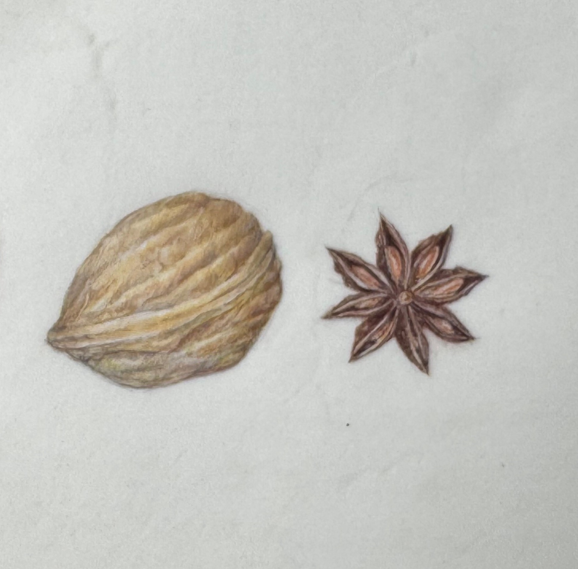 ROCHE - Intro to Vellum image_SQUARE