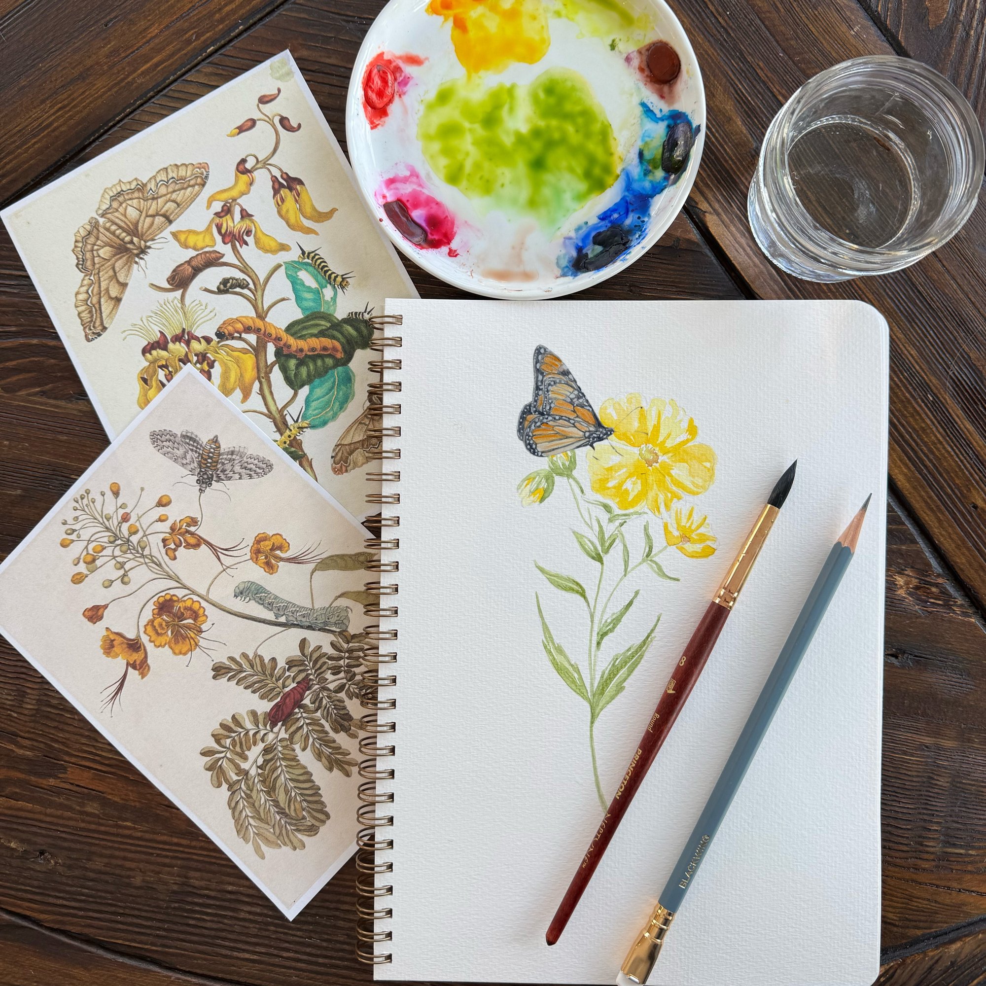 CONNAUGHTON BotanicalSketchbook_Plants+Pollinators MSM-image_SQUARE