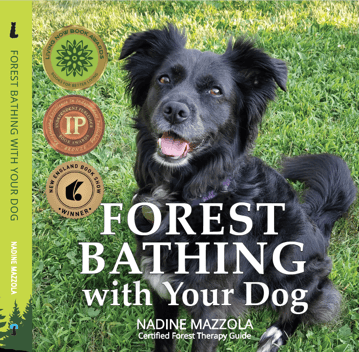 Forest Bathing with Your Dog by Nadine Mazzola - Cover-Front 2024