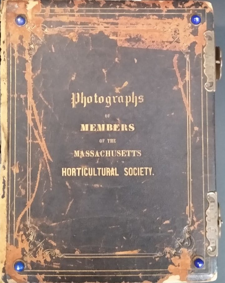 Member Albums