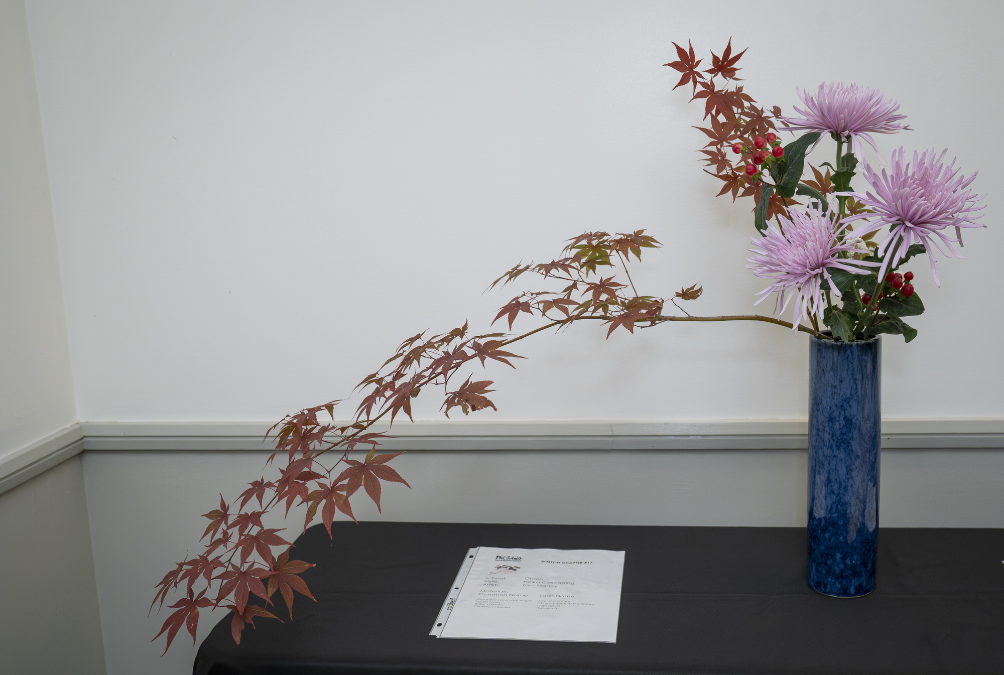 NE Fall Flower300