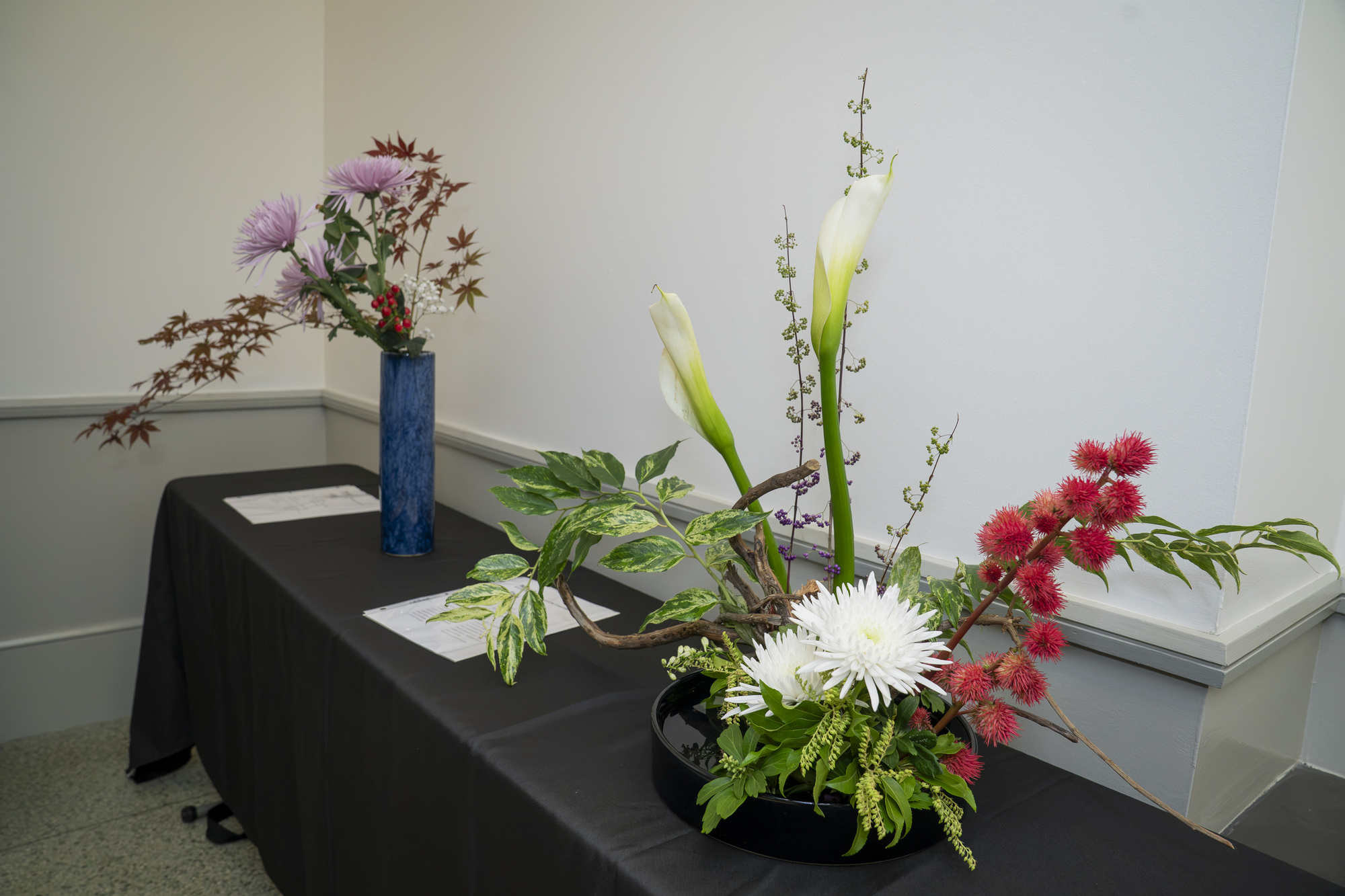 NE Fall Flower301
