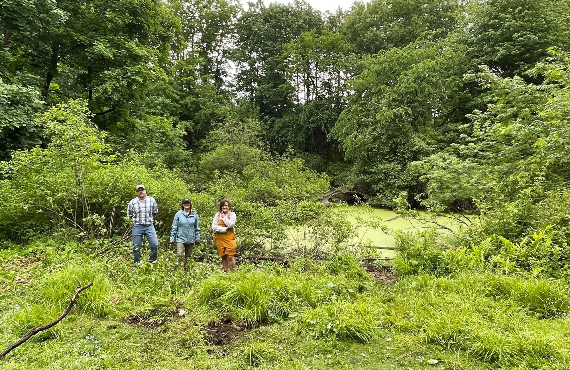 Olmsted Asian Garden Erin Fogarty Volunteers