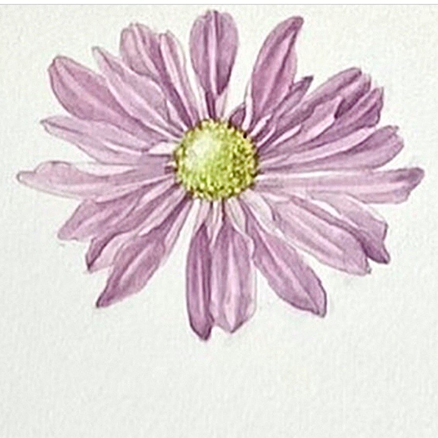 ROCHE IMAGE 1 - Intro to Botanical Art-Foundations in a week