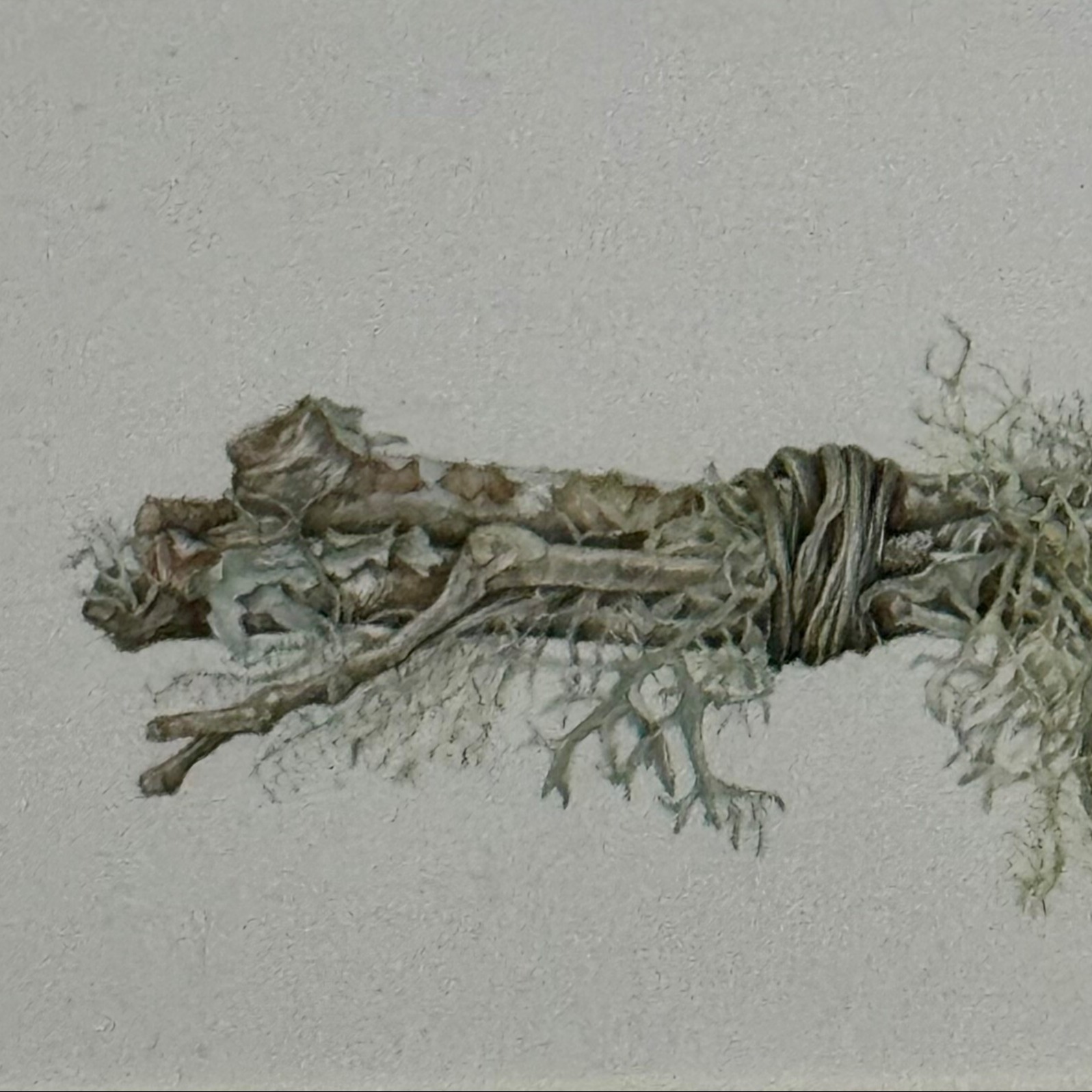 ROCHE WINTER Techniques - image_SQUARE