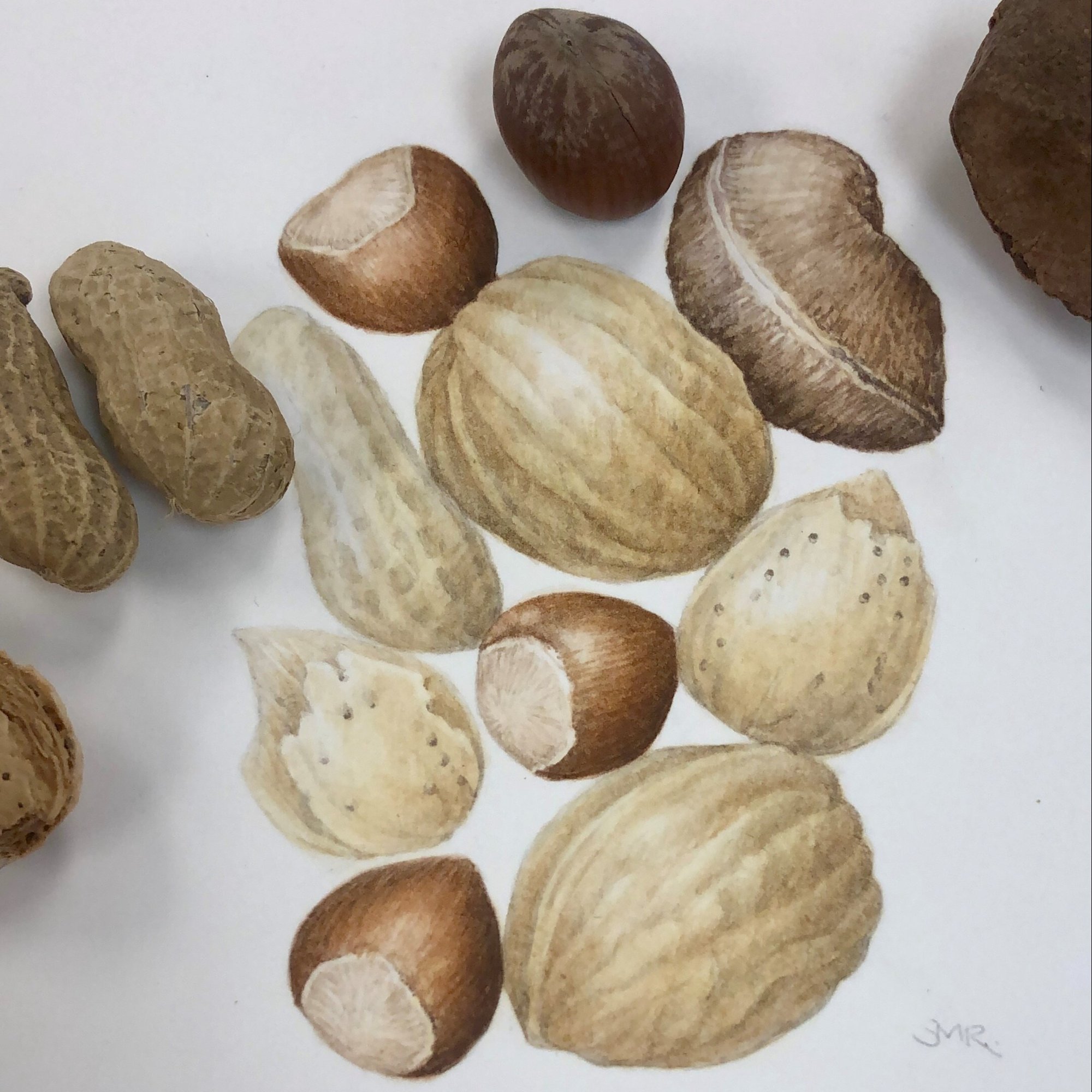 ROCHE Winter Foundations - image_SQUARE