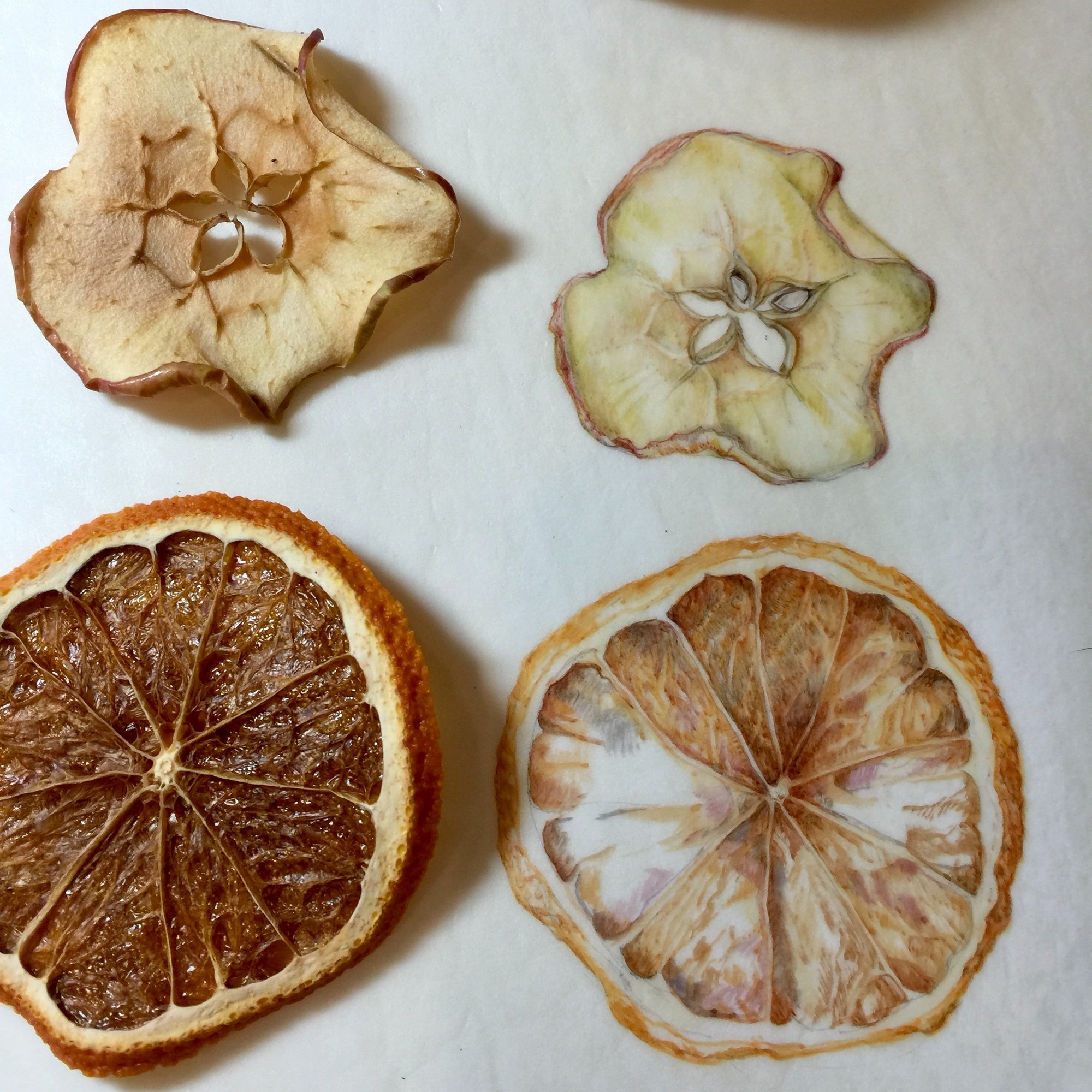 Roche Festive Fruits image 2 72dpi