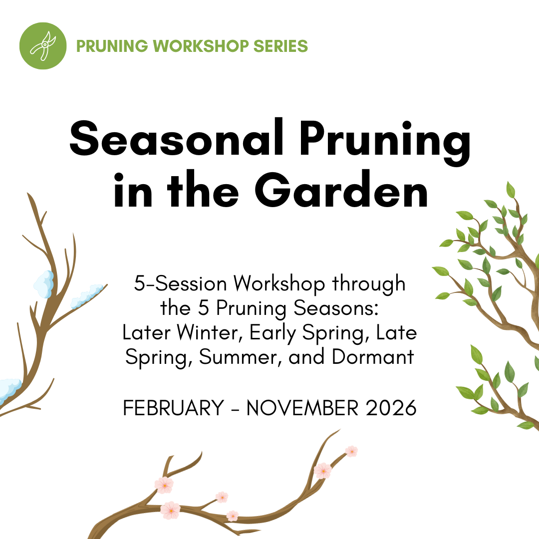 Seasonal Pruning in the Garden Workshop Series SQ (1)