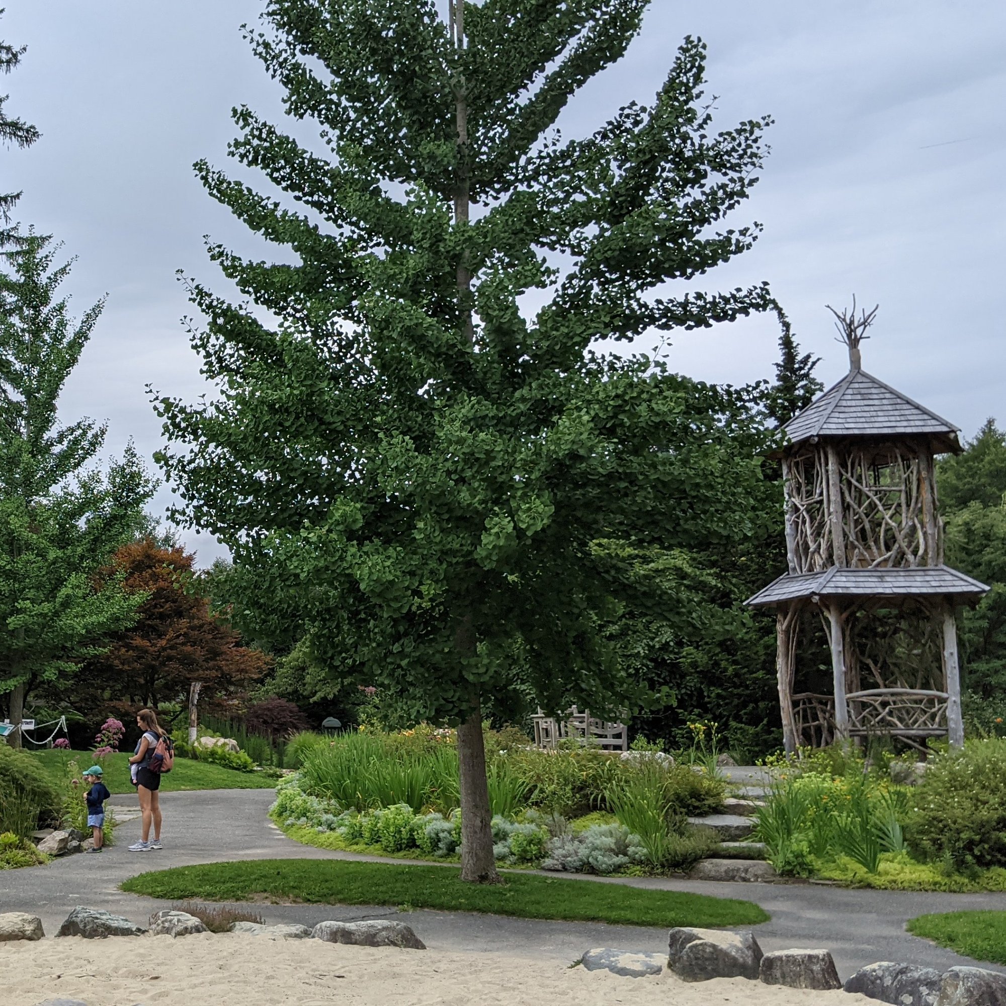 Weezies Garden for Children