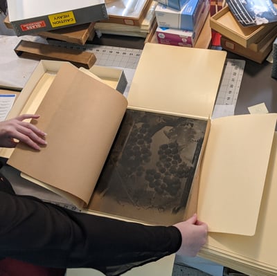 glass plates (12)