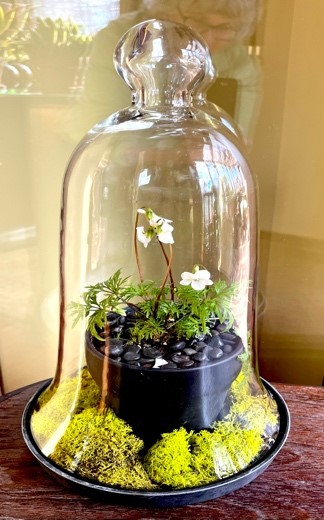 glass vessels