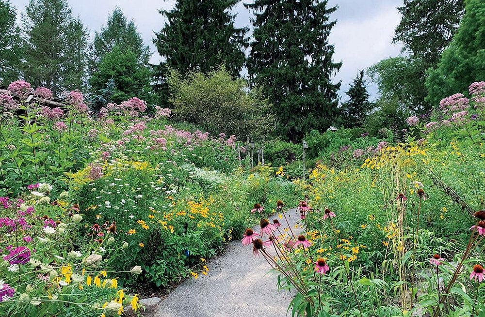hm_july_august_2021_elm_bank_gardens_2