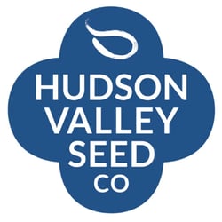 logo from web