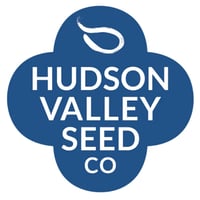 logo from web
