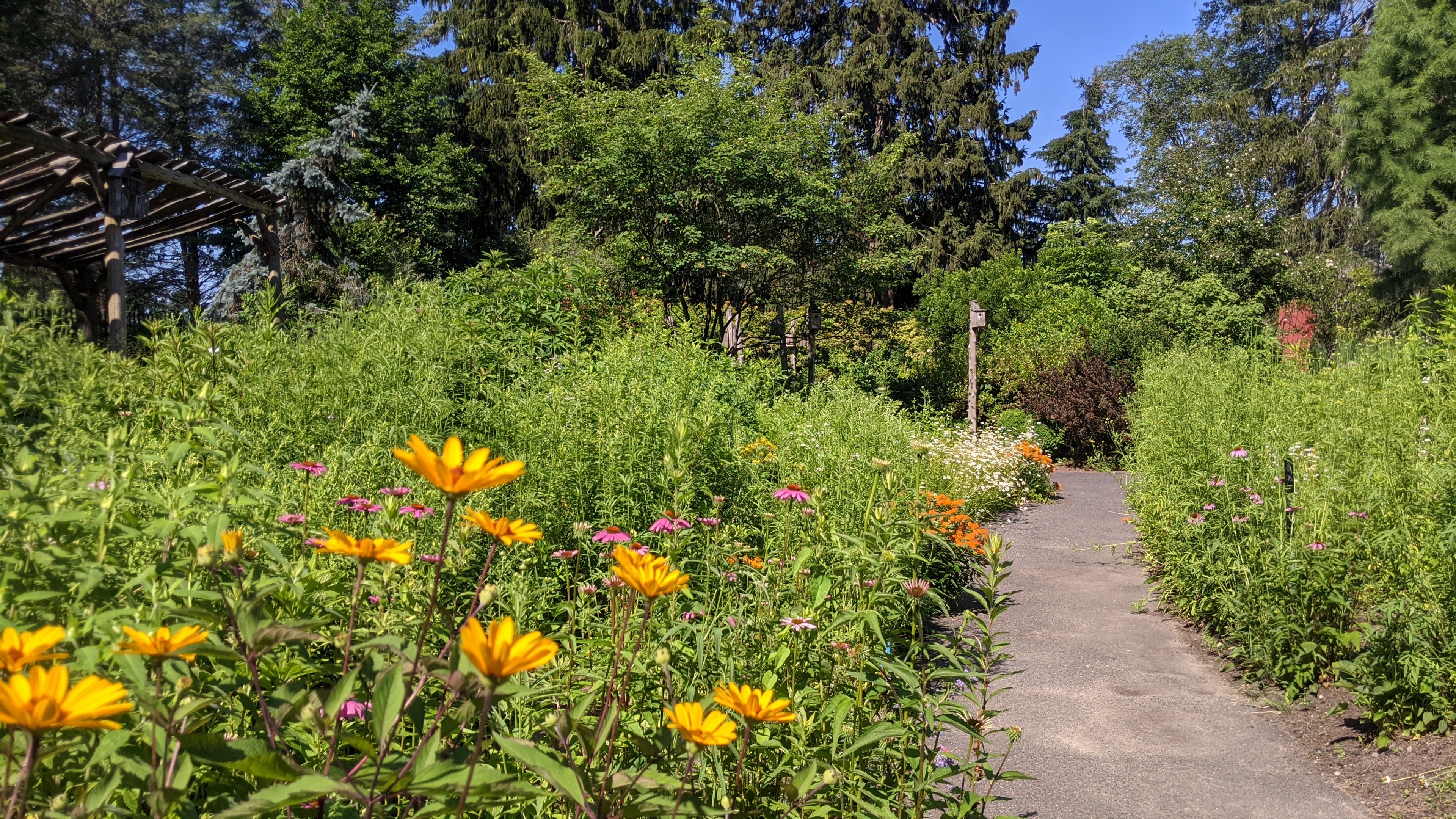 Weezies Garden