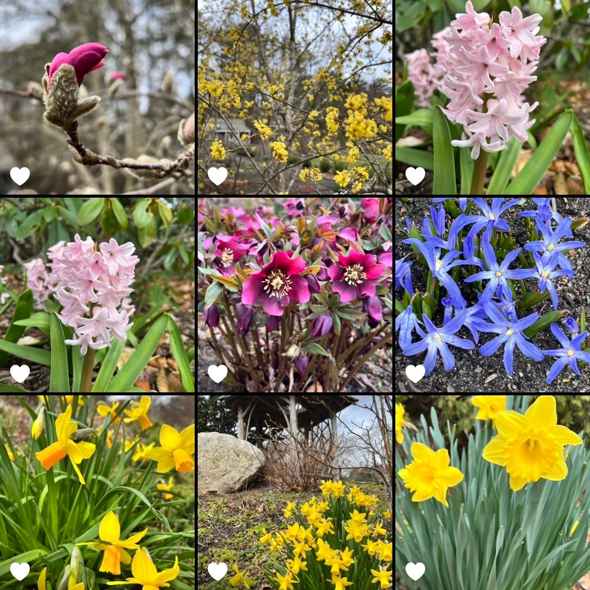 spring collage