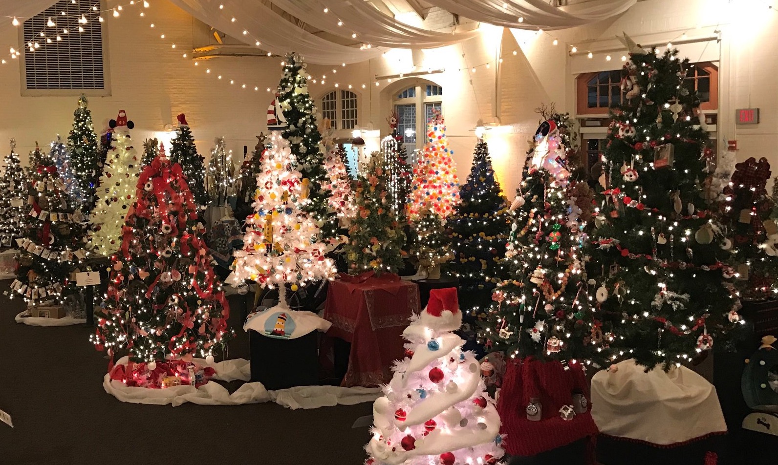 Festival Of Trees 2025 Salisbury Ma Alis Lucina