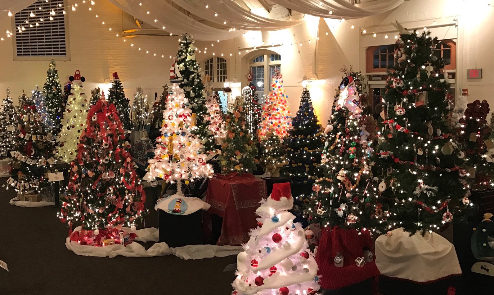 Festival of Trees 2022 Massachusetts Horticultural Society