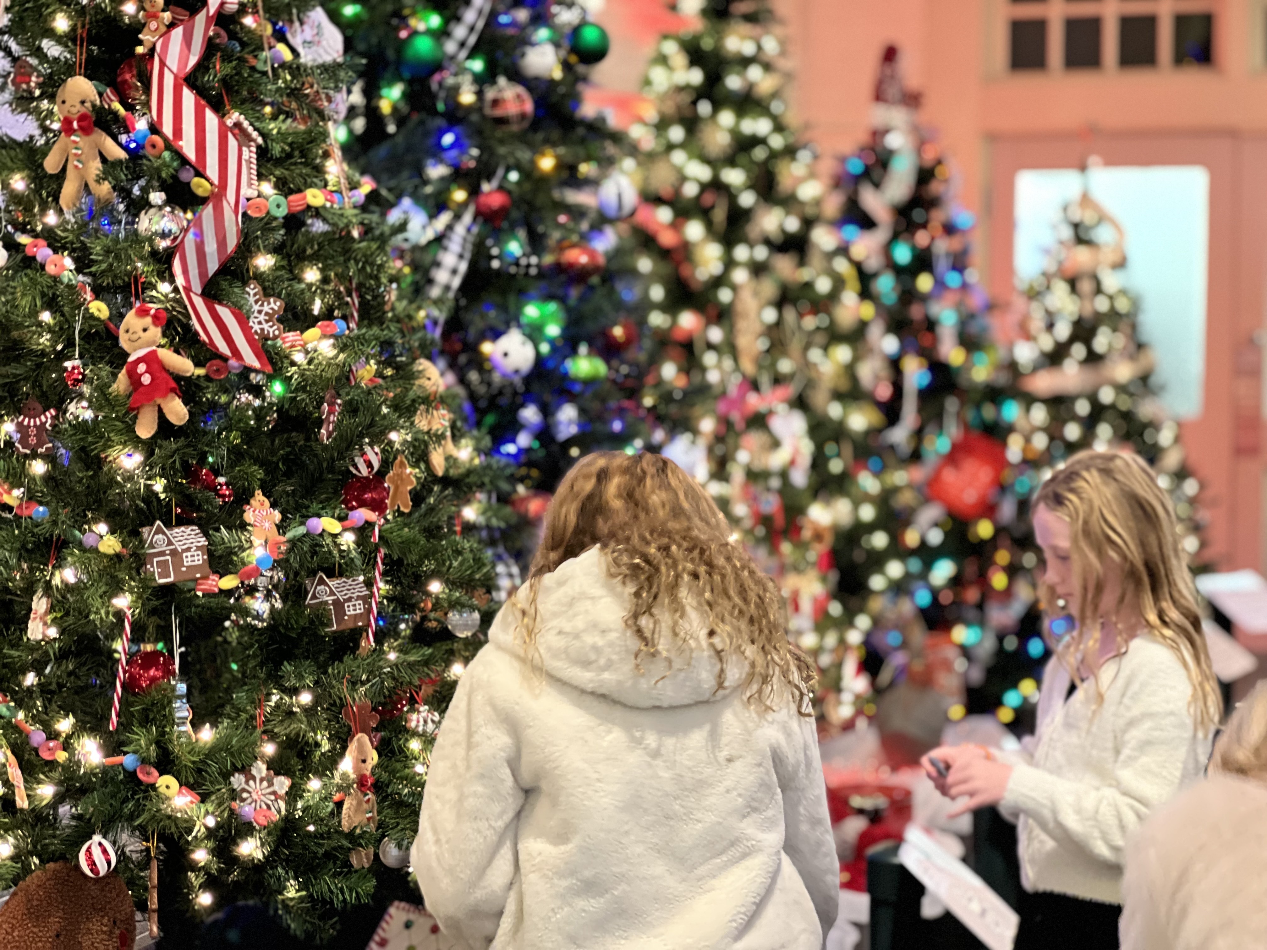 The festival sales of trees