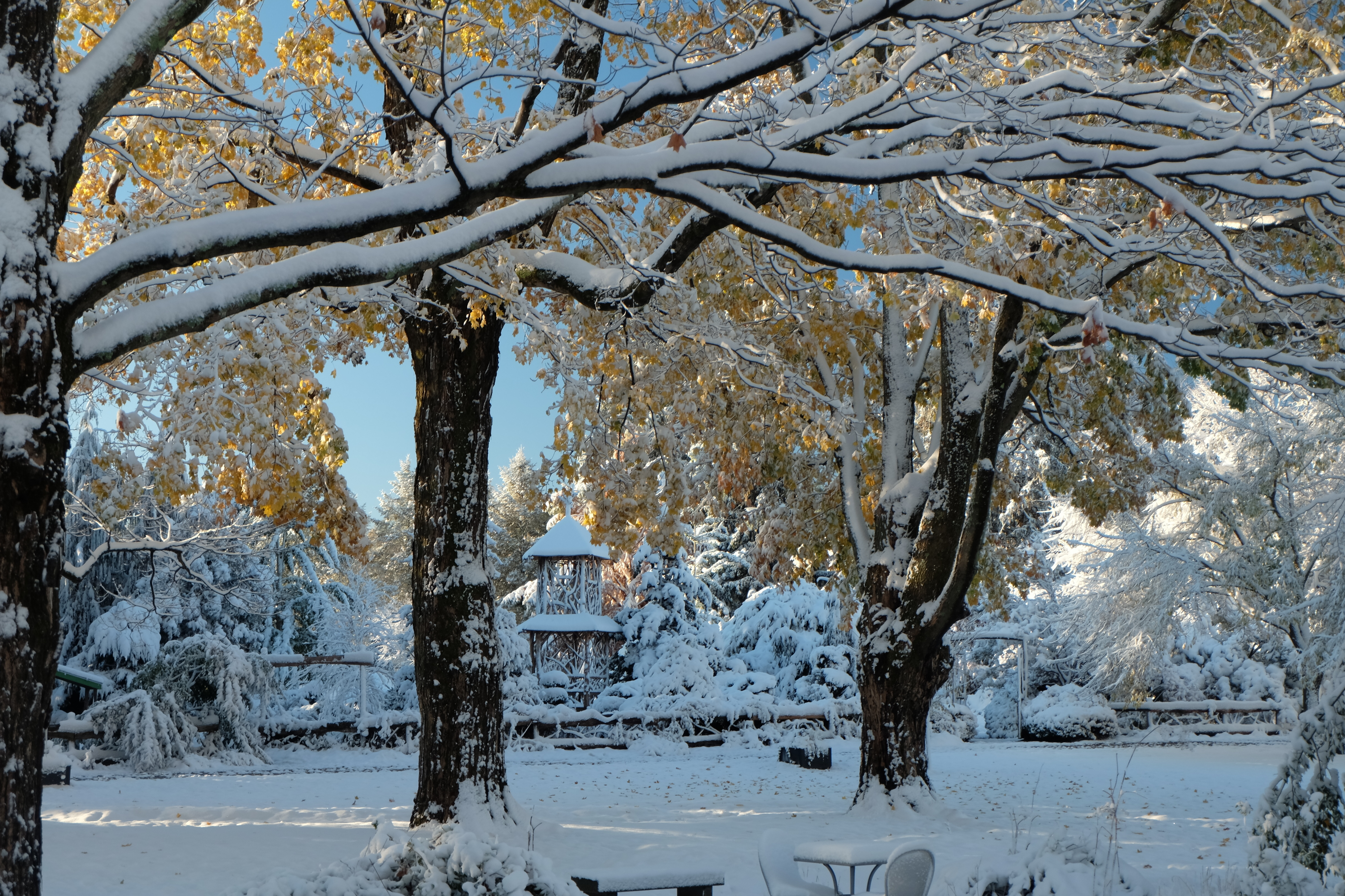 Winter Garden Tour